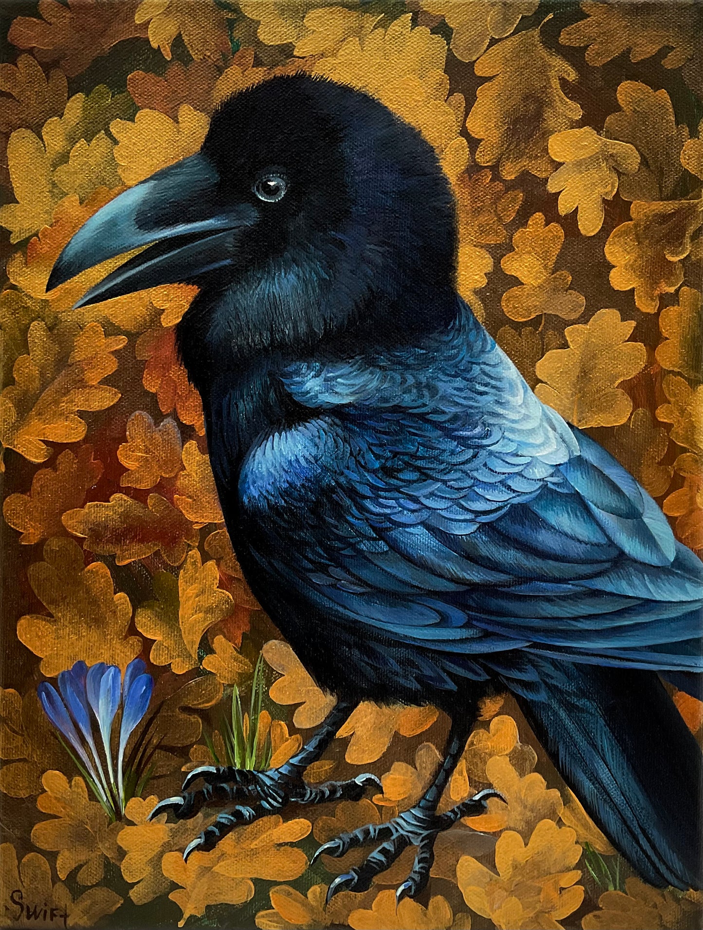 Rufus the Raven