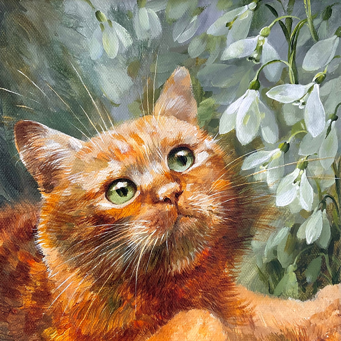 Ginger Daydream