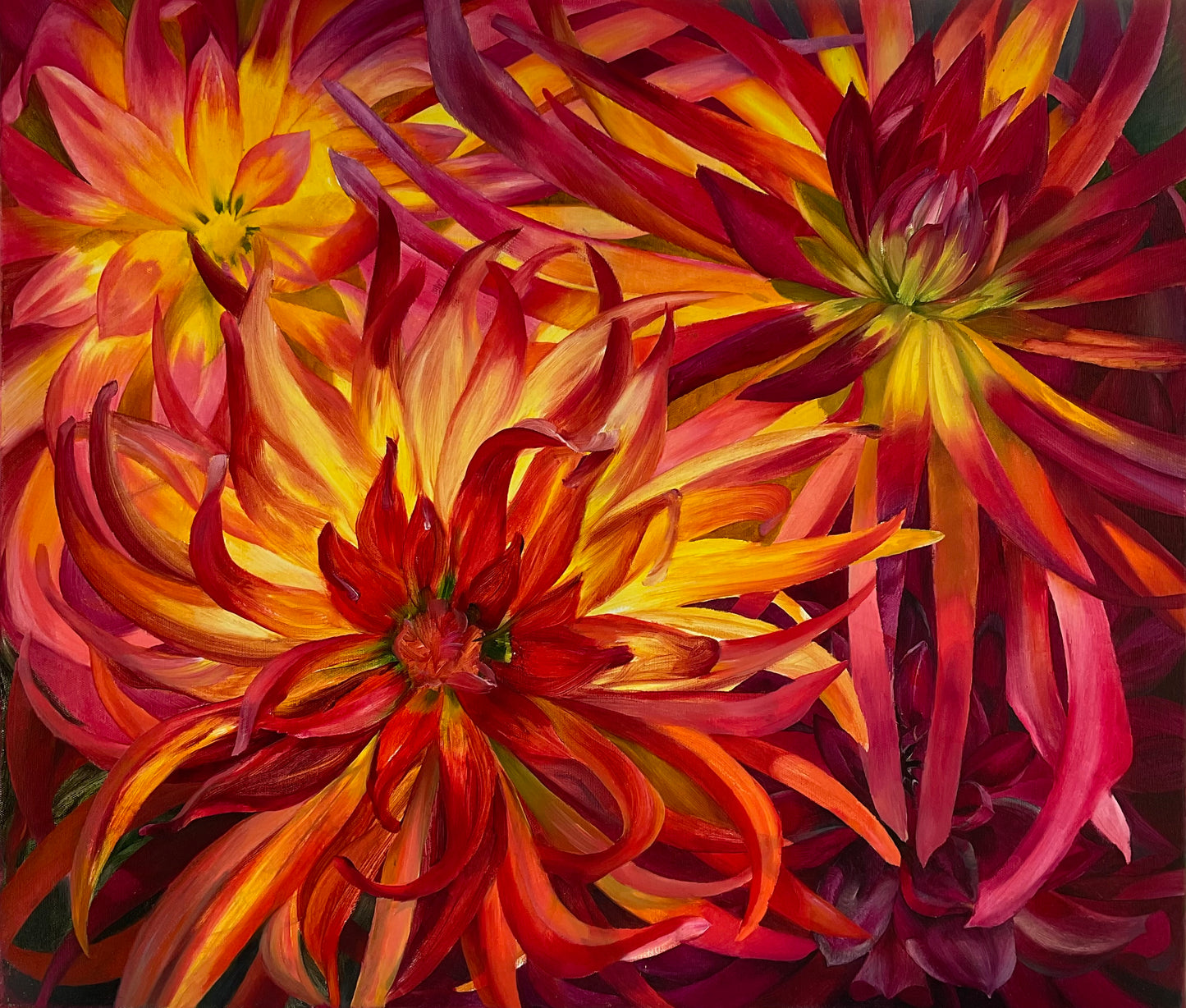 Flaming Asters