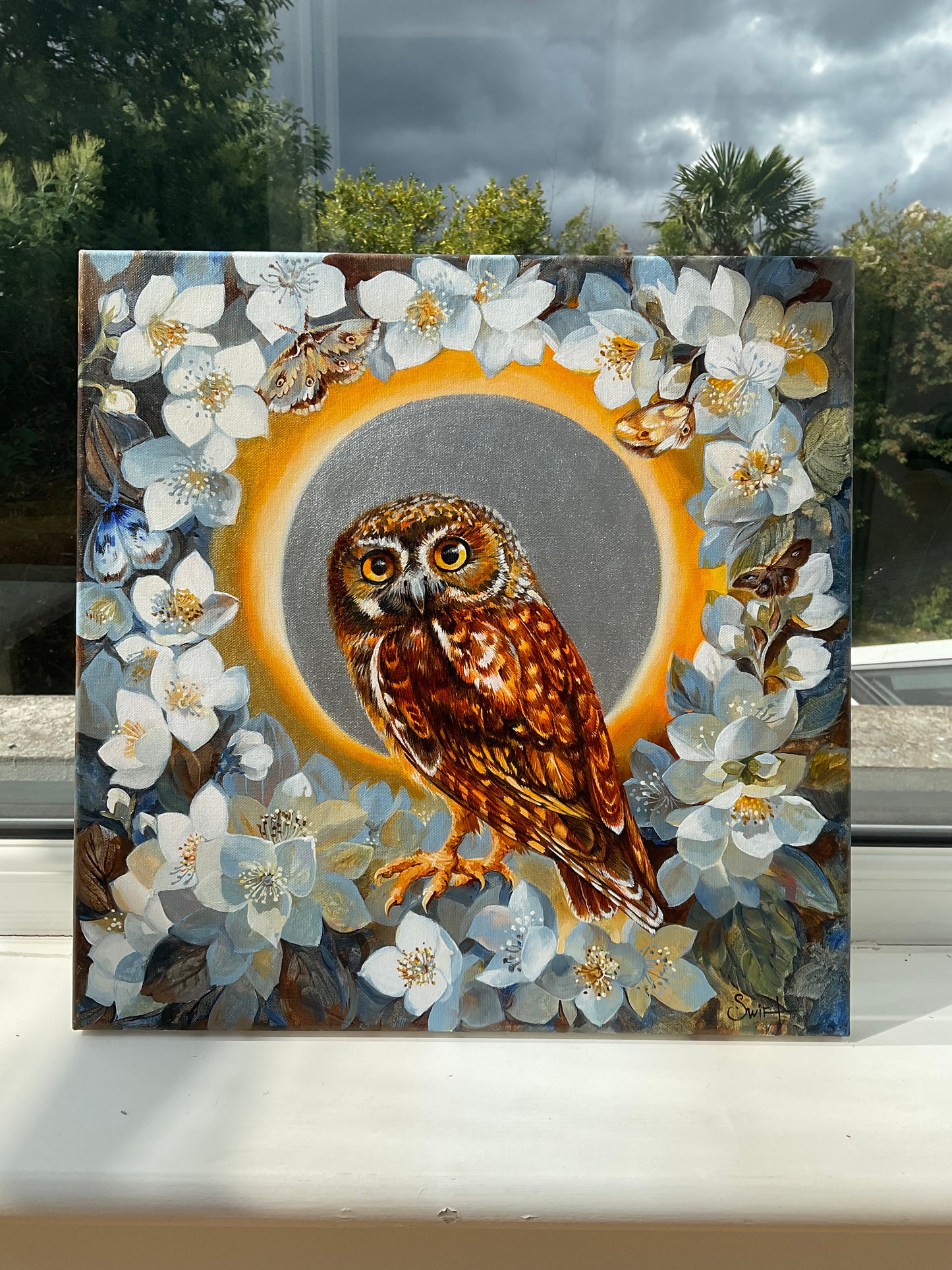 The Elf Owl in Night Jasmin