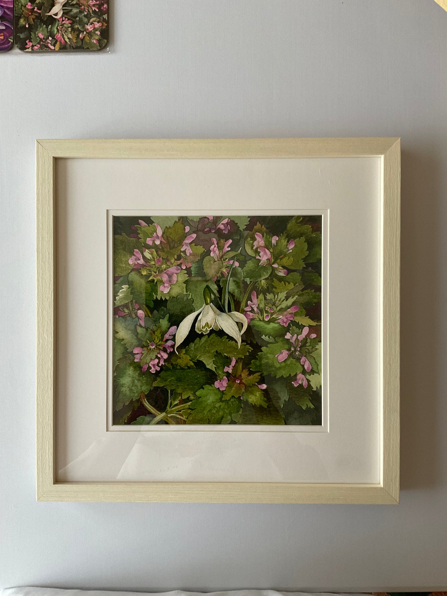 The last Snowdrop