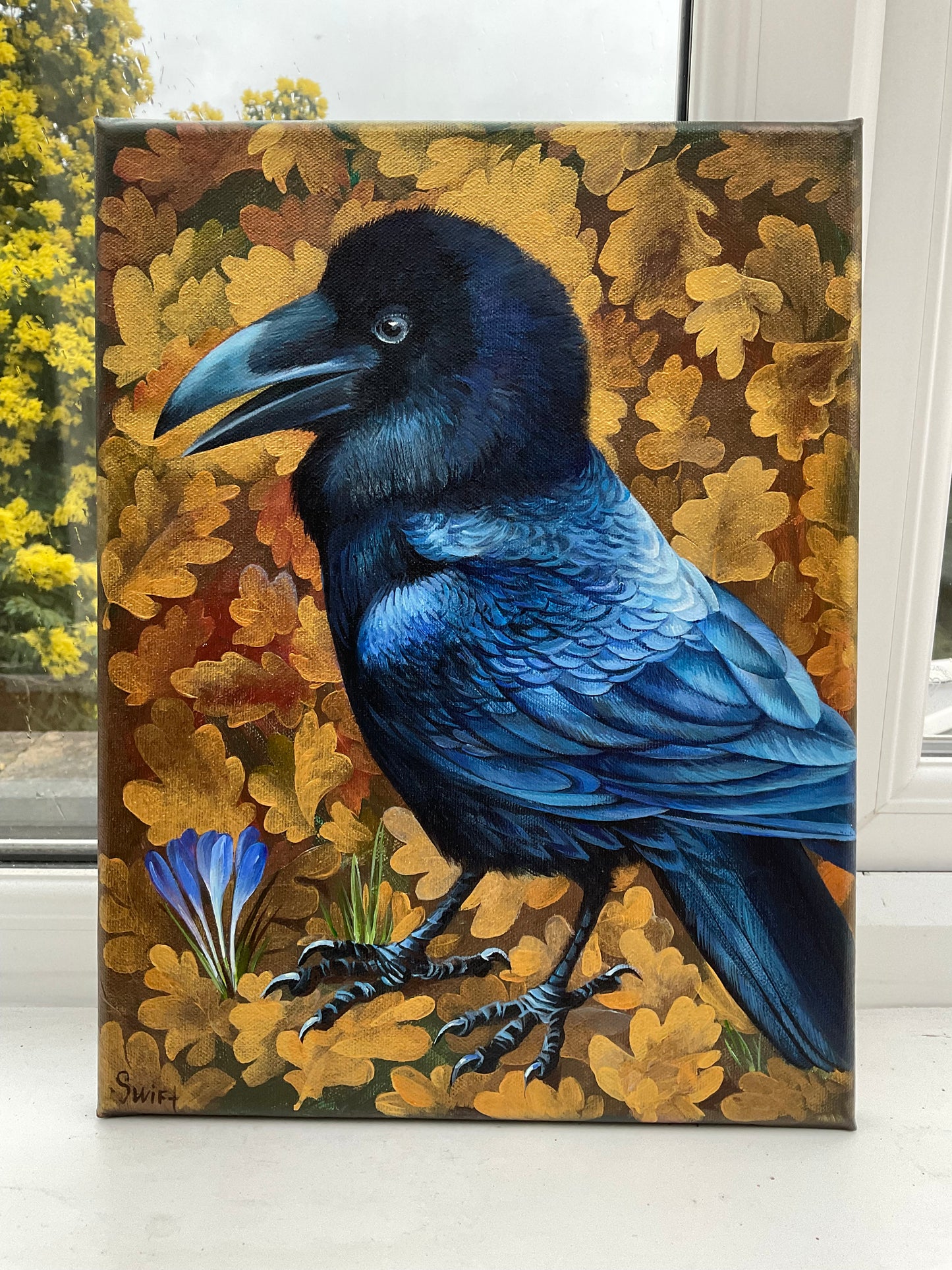 Rufus the Raven