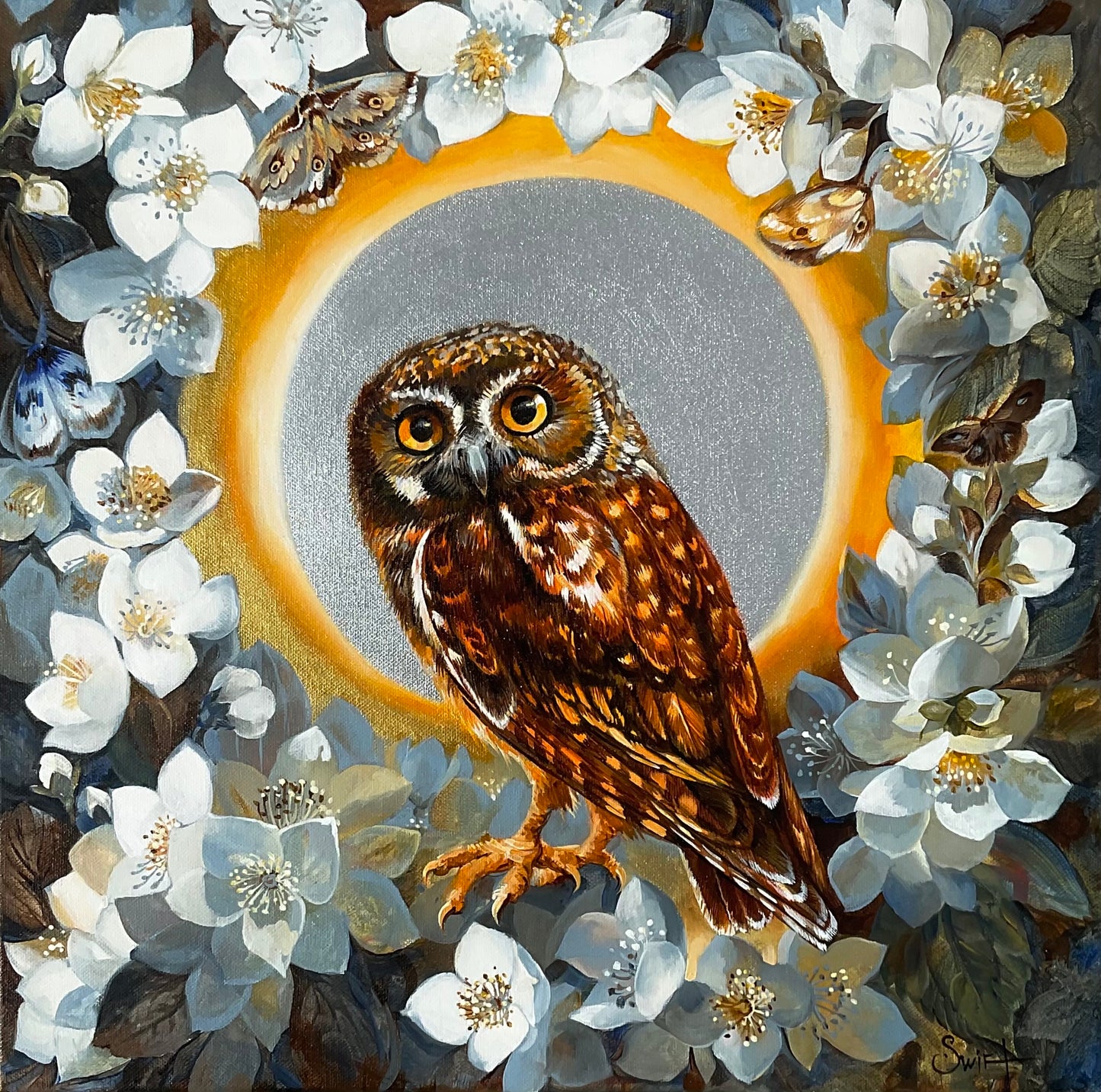 The Elf Owl in Night Jasmin