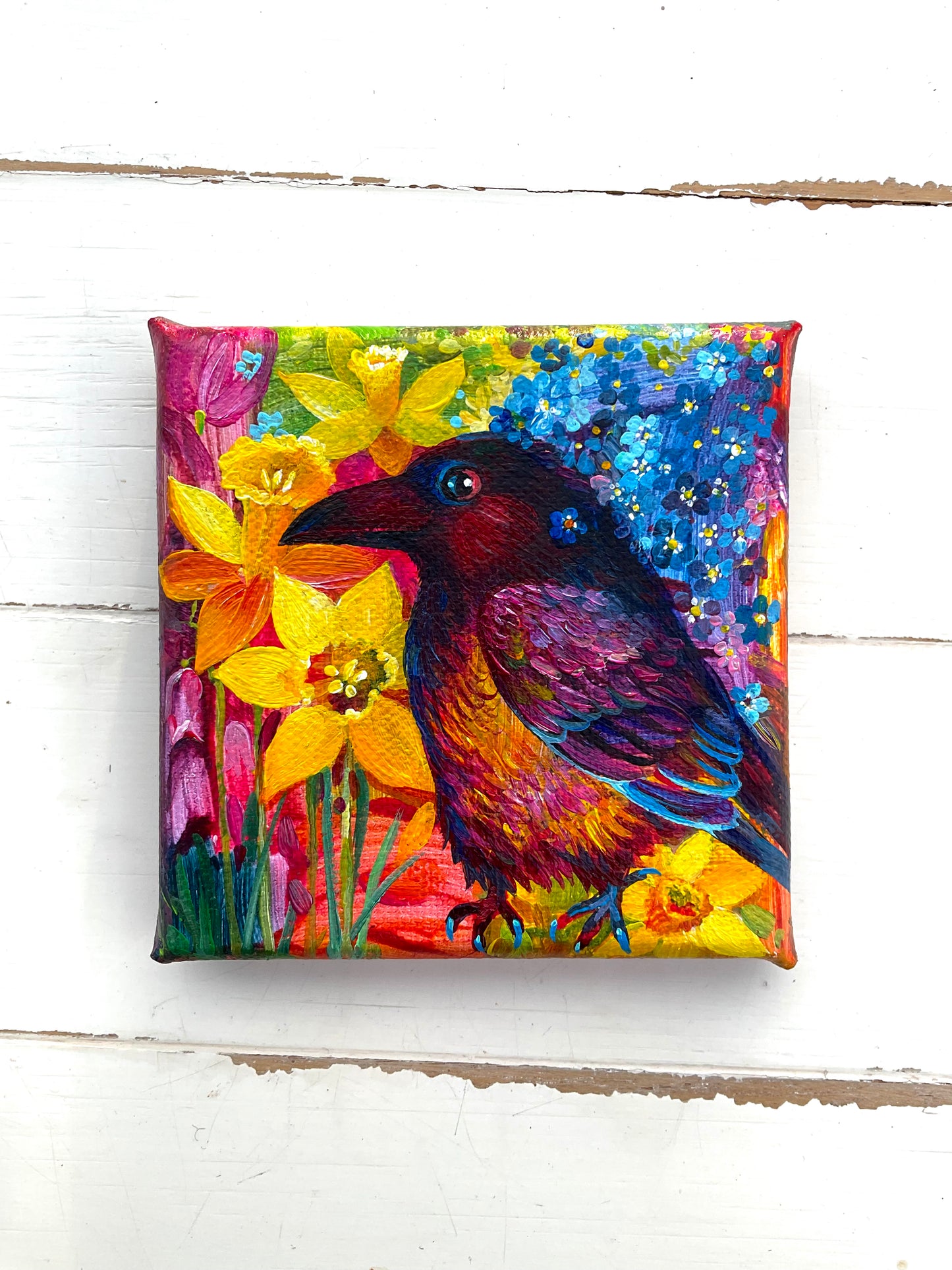Happy Spring Crow 🔴