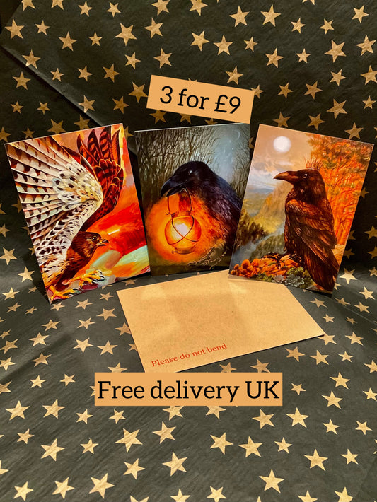 3 Royal Bird cards set : Kestrel, Raven with Lantern, Crowned Raven