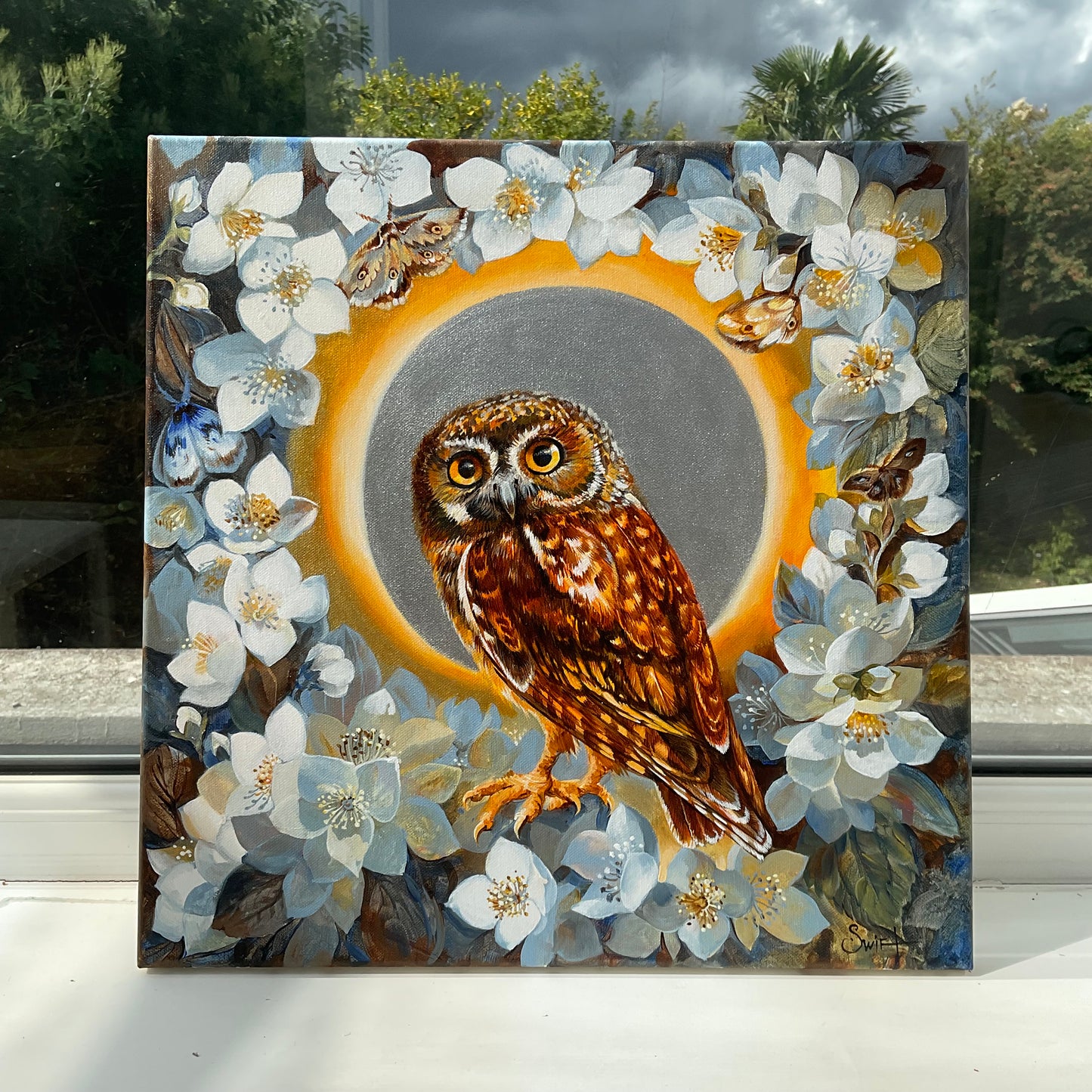 The Elf Owl in Night Jasmin