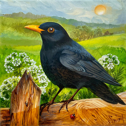 The voice of spring (Black Bird)