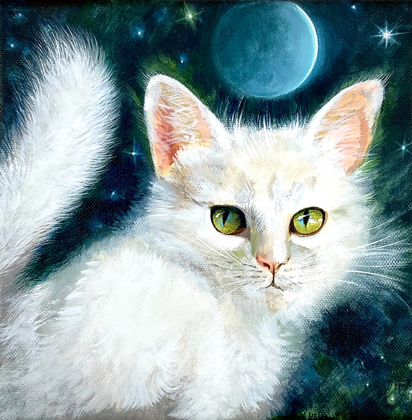Moon Cat