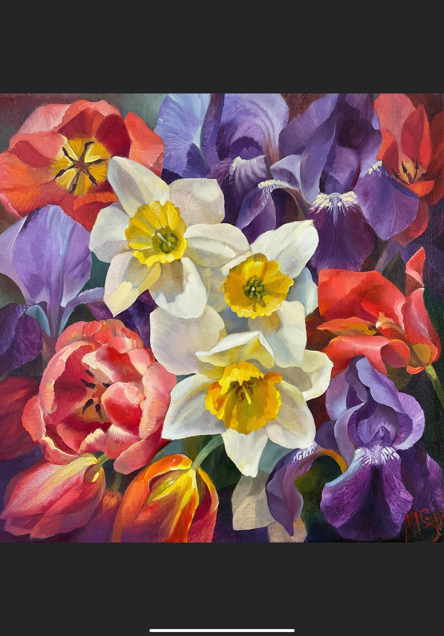 Spring Splendour