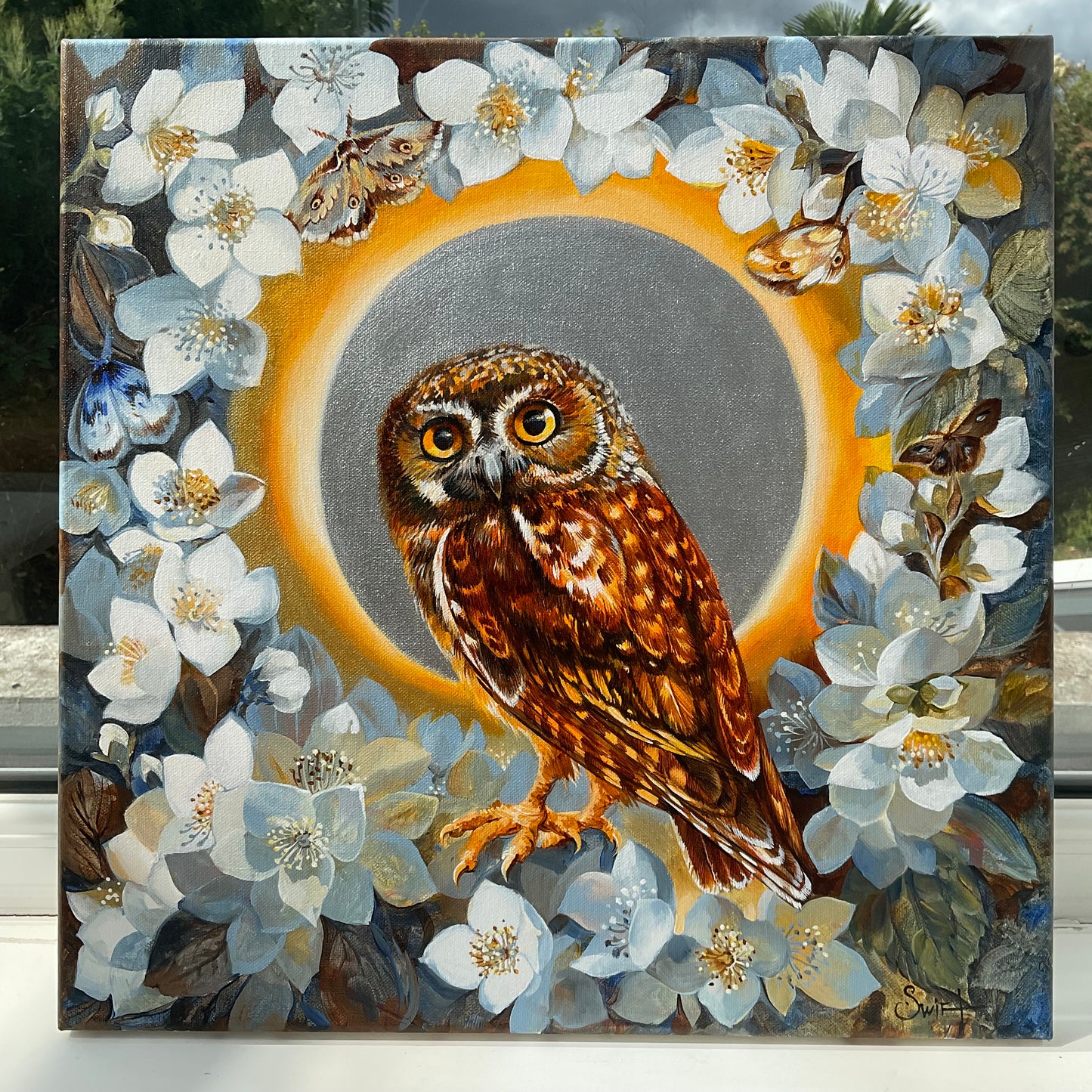 The Elf Owl in Night Jasmin