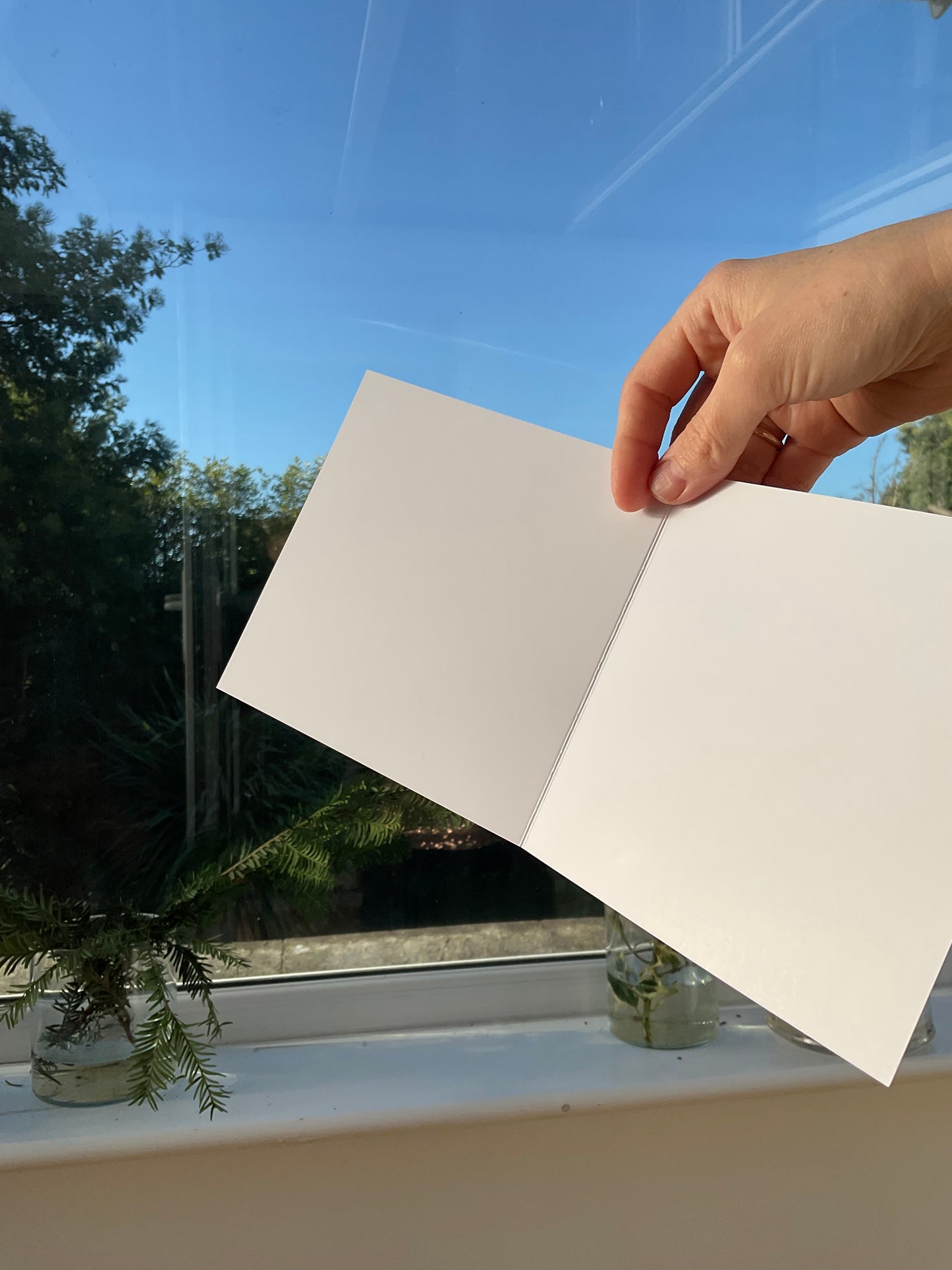 3 Christmas crows cards, free UK delivery