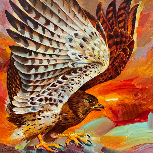 Wild Wings