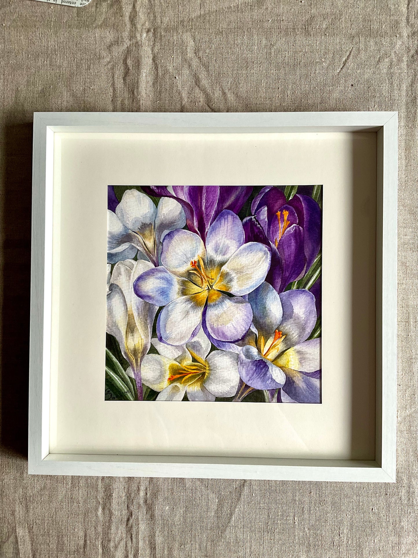 Crocuses