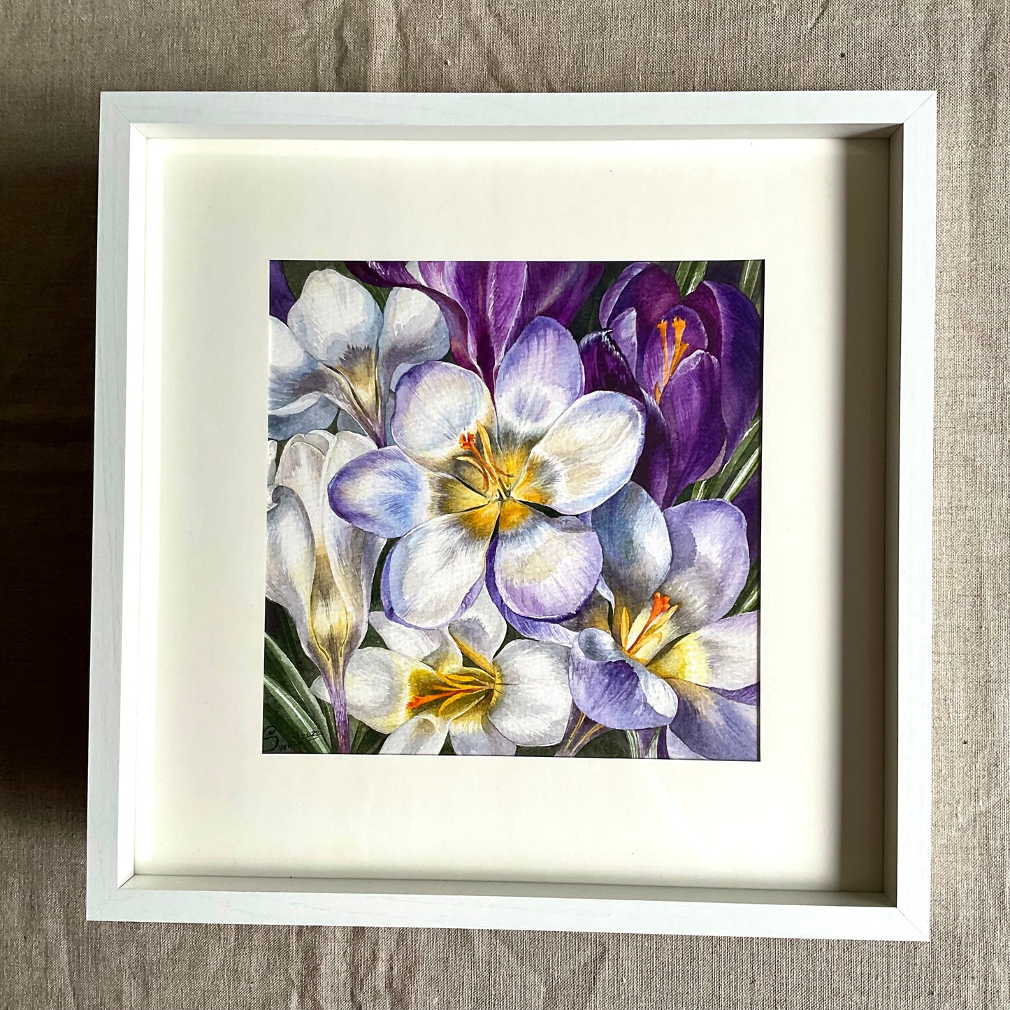 Crocuses