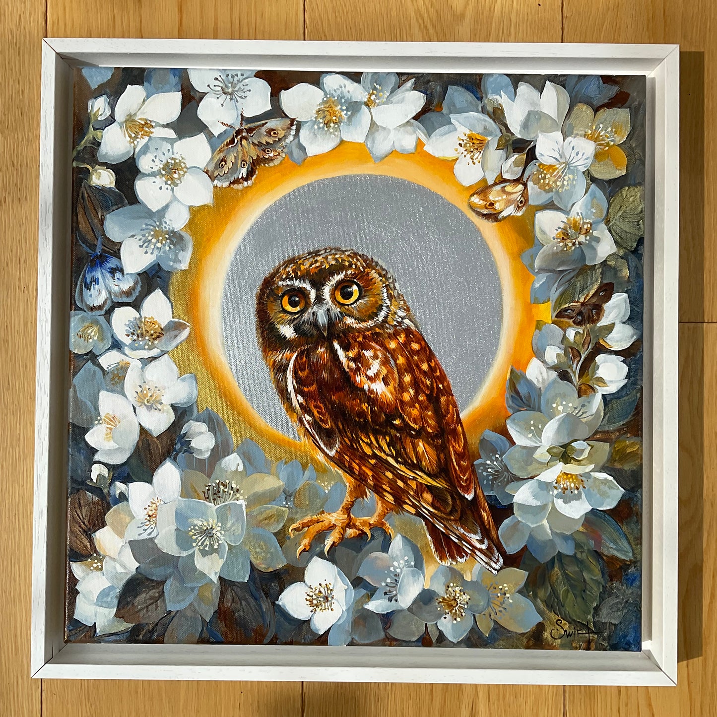 The Elf Owl in Night Jasmin