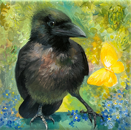 What is this? Crow baby is puzzled by the butterfly seen for the first time