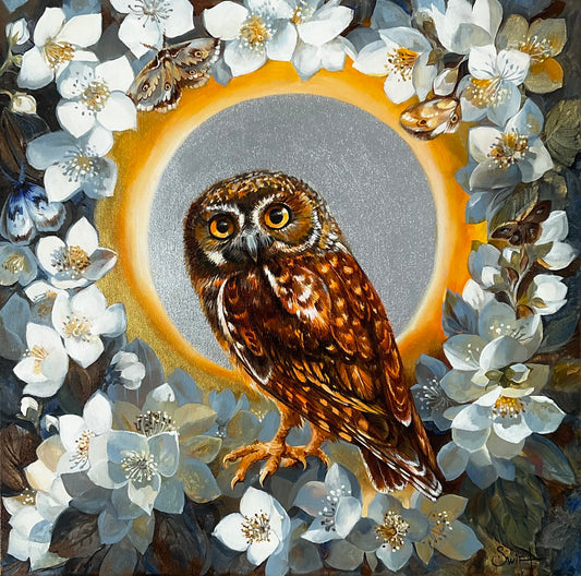 The Elf Owl in Night Jasmin