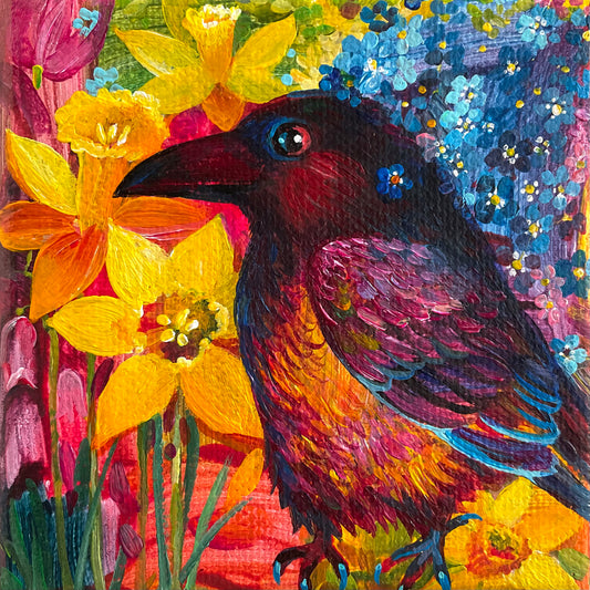 Happy Spring Crow 🔴